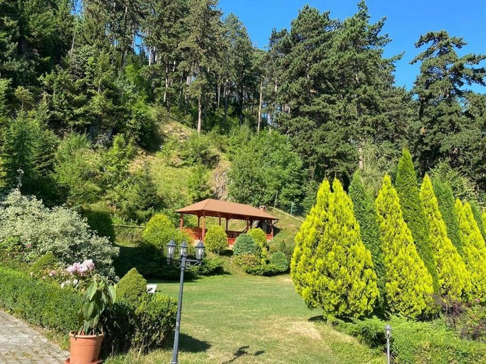 מלון סקלה Bellavista Brasov מראה חיצוני תמונה