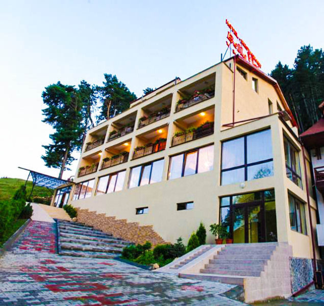 מלון סקלה Bellavista Brasov מראה חיצוני תמונה