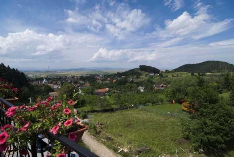 מלון סקלה Bellavista Brasov מראה חיצוני תמונה