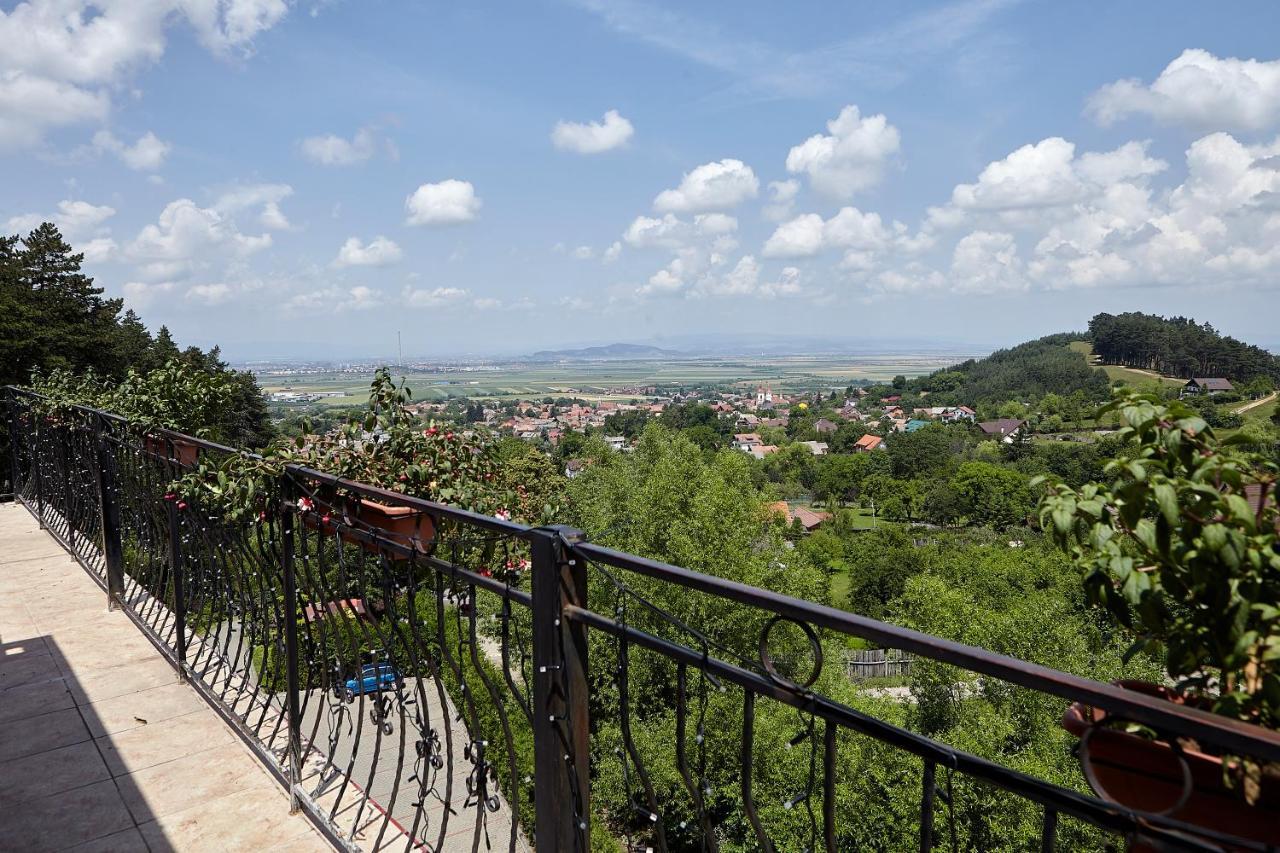 מלון סקלה Bellavista Brasov מראה חיצוני תמונה